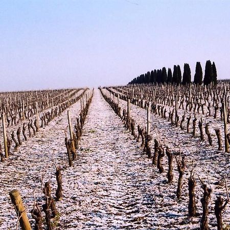 Château de la Galissonnière Acomodação com café da manhã Le Pallet Exterior foto